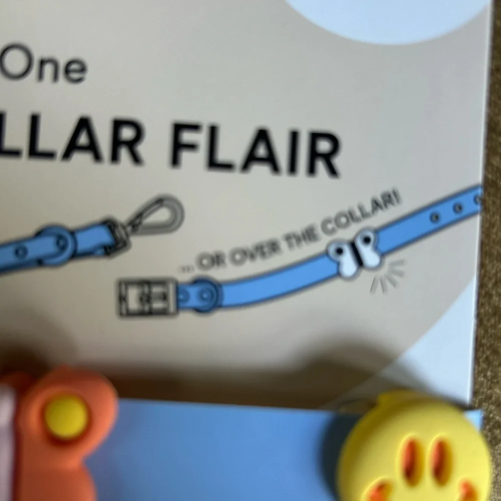 Wild One Leash & Collar Flair charms XS/S Mini